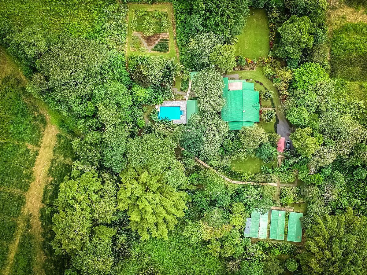 Tropical Paradise Bungalows Pital  Exteriér fotografie